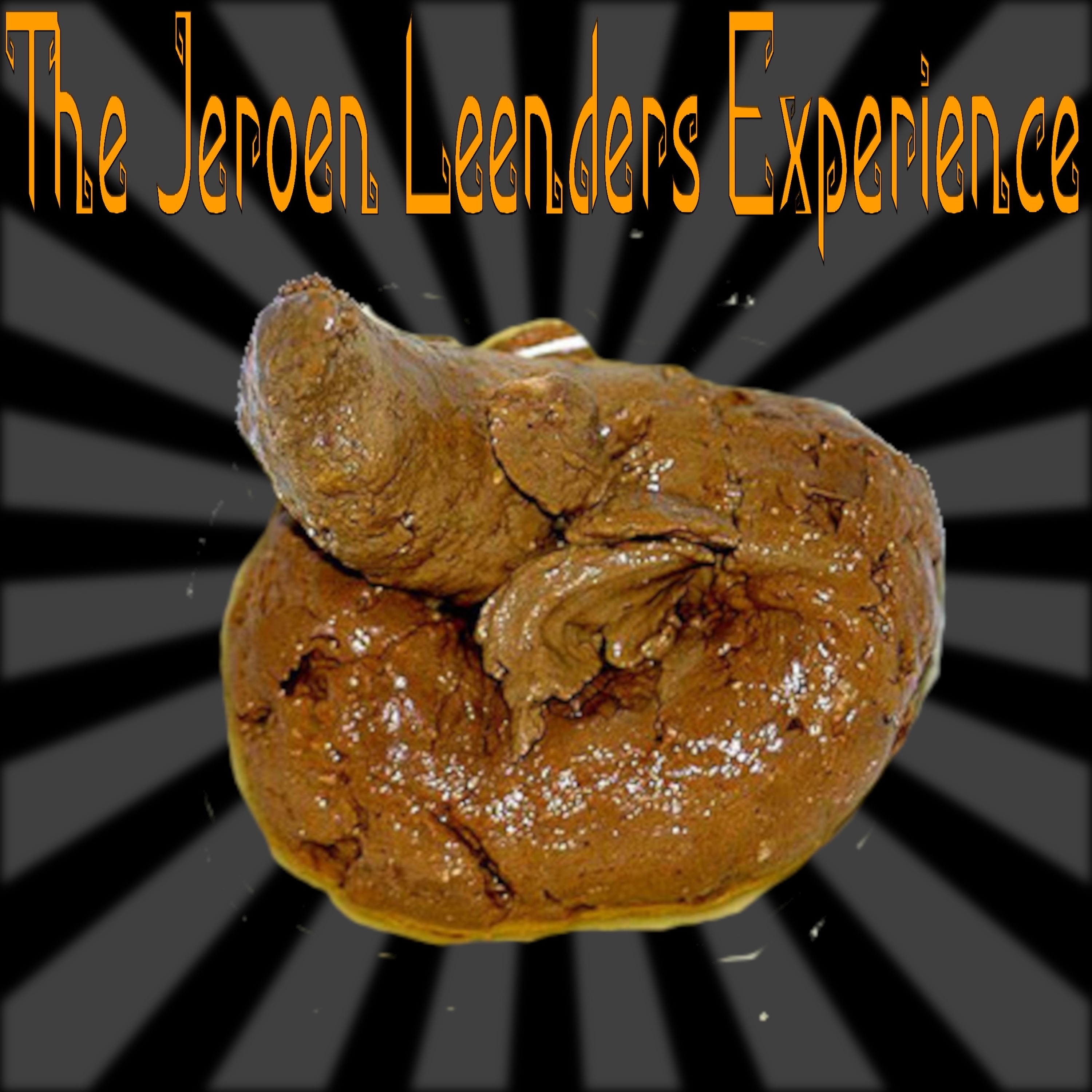 Jeroen Leenders Experience