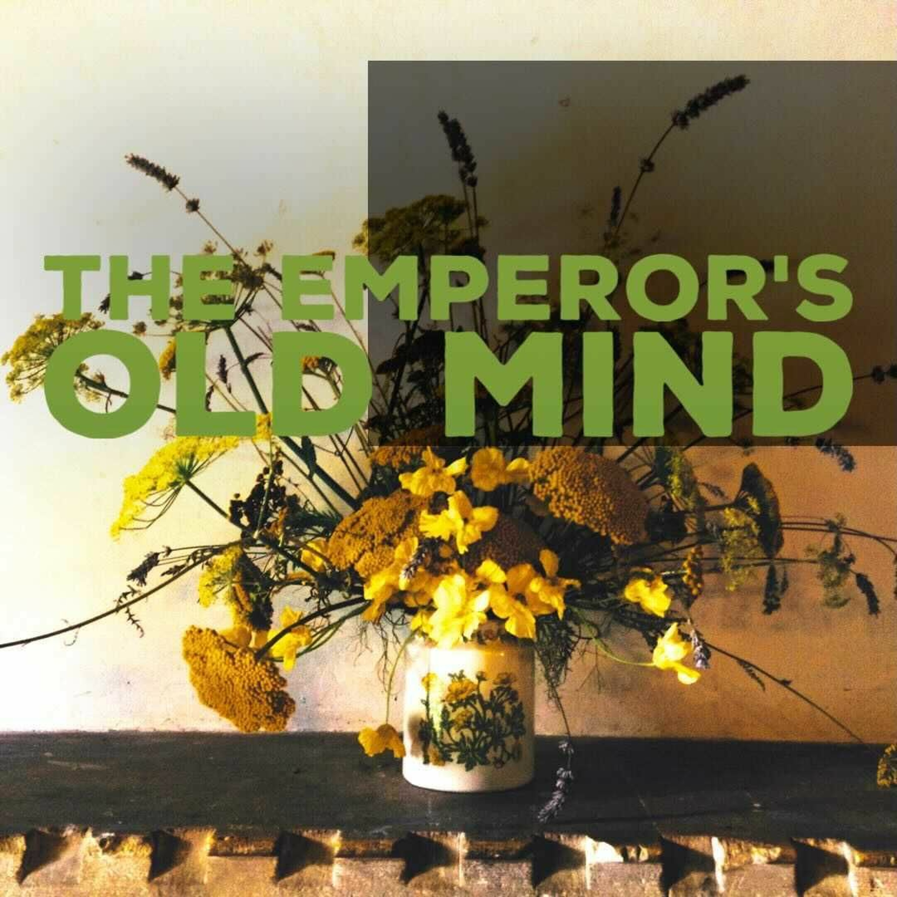 Mindsprings Podcast with Alistair Appleton