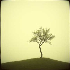 Born from Breath (Part 3 of 10)