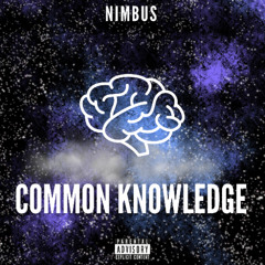 COMMON KNOWLEDGE (prod. by irthwirm)