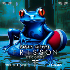Basam Cheema - Prog in a Sock