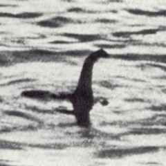 Mystories of the deep: The Loch Ness Monster