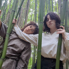 Like Bamboo