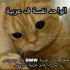 الدب الشمالي - يوسف جوكر