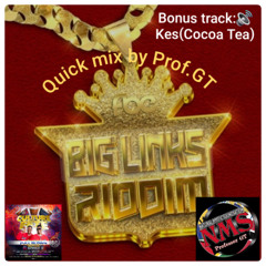 BIG LINKS RIDDIM QUICK MIX BONUS TRACK-PROF.GT (NMS)