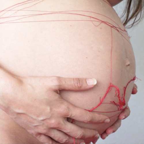 "My mother was a secret house" from Sun Cycle (CSU Poetry Press, 2019) for The Mouth is Still a Wild Door (2020)