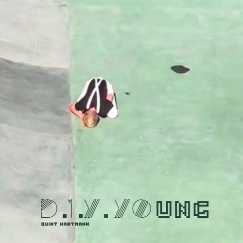 D.I.Y. Young
