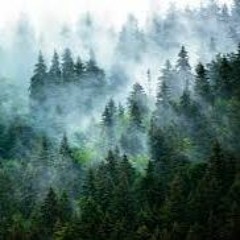 Is that high enough? (High-Tech Mix)