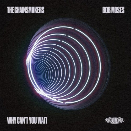The Chainsmokers, Bob Moses - Why Can't You Wait (Dario Xavier Club Remix) *FREE DOWNLOAD*