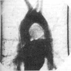 BAKER PHONK TYPE BEAT