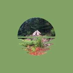 After the Forest Rain