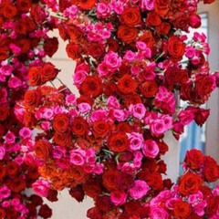 your best سربرايز