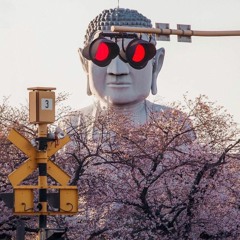 Pedro Andrade G - CNKTD