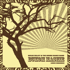 Bukom Mashie (JKriv Extended Acid Dub) [feat. Domenica Fossati]