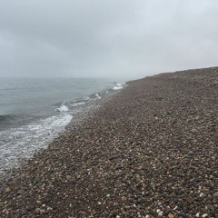 Fog on Spey Bay (Live) - Dear Alba