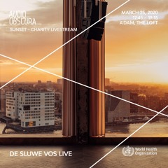 De Sluwe Vos live @ Audio Obscura: Sunset - Charity at The Loft, 25 March, 2020