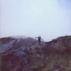 Distant Trees, Roots Reaching  ~ An Ode to Collective Yearning For Closeness (mix)