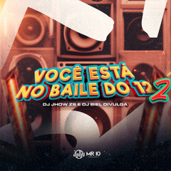 VOCE ESTA NO BAILE DO 12 2 (feat. DJ Biel Divulga)