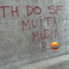 NO PIQUEZIN DE BH 007 - TOMA TOMA NA TCHEQUINHA (DJ TH DO SF)