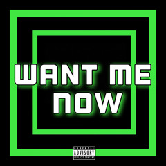 Want Me Now ft Li Dog 24