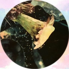 Limited Resources [DEMO]