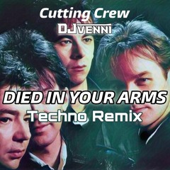 Died In Your Arms (DJ Venni Remix)