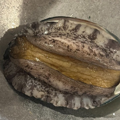 phenomenon #1 (w/Sht) 2025.6.17