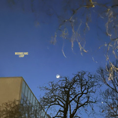 MOONBEAMS LOOP
