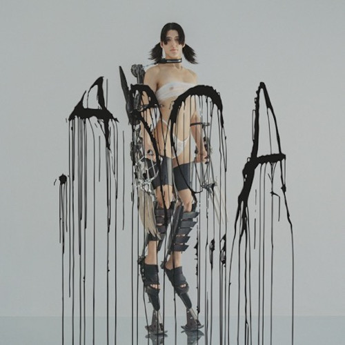 Stick it arca