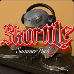 SKURTTLE SUMMER PACK 2