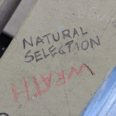 so stupid (prod. deadyami)