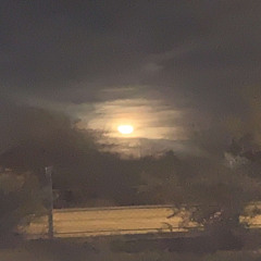 A.A. MFS L0V3 S0NĠ st<3 4EVER Ɛ>ay T4LK TO JU5T TA1K