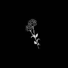 [FREE] Polo G ft Juice WRLD Type Beat 'Honest' Instrumental