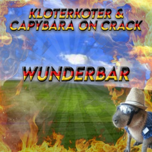 WUNDERBAR (Ft. CAPYBARA ON CRACK)