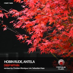 PREMIERE: Hobin Rude, Antela - Deep Within (Christian Monique Remix) [MISTIQUE MUSIC]