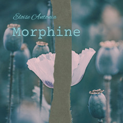 Morphine *very rough* Demo