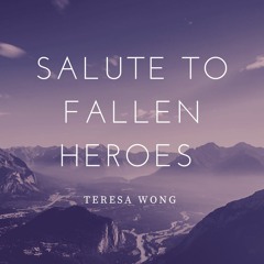 Salute To Our Fallen Heroes