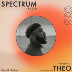 Spectrum Radio #035 ft THEO
