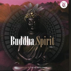 DJ Sergee - Karma (Buddha Spirit Vol.1) Tibetania Rec.