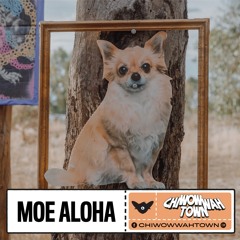 Moe Aloha - CHI WOW WAH TOWN 2022