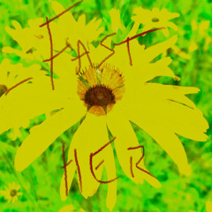 FAST_HER
