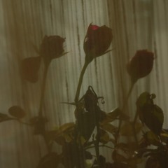 PHAT CAT (prod. realjaybenji)