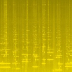 बगलामुखी (Bagalāmukhi) {xⁿ: x³¹ - 2 = 0} [live excerpt]