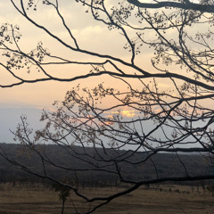 Dusty confessions pt. 1