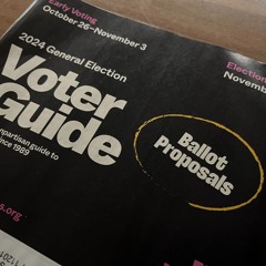 A Chorus of Calls to Reject Mayor Adams’ NYC Charter Revision Ballot Proposals on Election Day