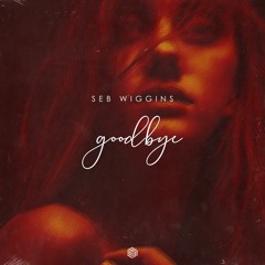 Seb Wiggins - Goodbye
