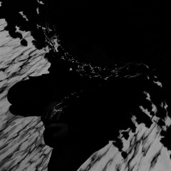 trip to LA prod. aotb