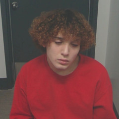 ceefrizzy - in till im out (unreleased)