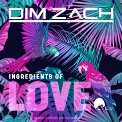 INGREDIENTS OF LOVE (DIM ZACH mixed by JERRY BOUTHIER)