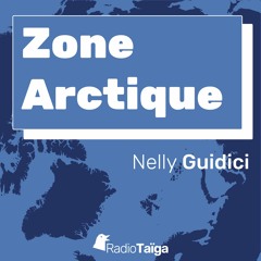 Zone arctique : Les doutes sur les origines autochtones de Buffy Sainte-Marie par Nelly Guidici
